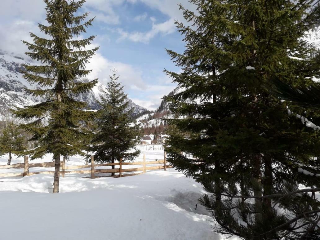 Valbona Eco Camping Valbone Bagian luar foto